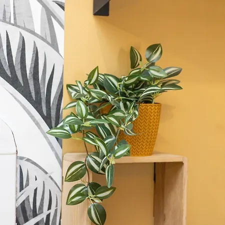 Appartement La Tête Dans Les étoiles, Emplacement Idéal Montauban